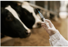 Mastitis Remains a Key Challenge as New Prevention Tools Emerge Globally
